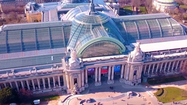 Aerial Grand palais and Petit Palais in Paris