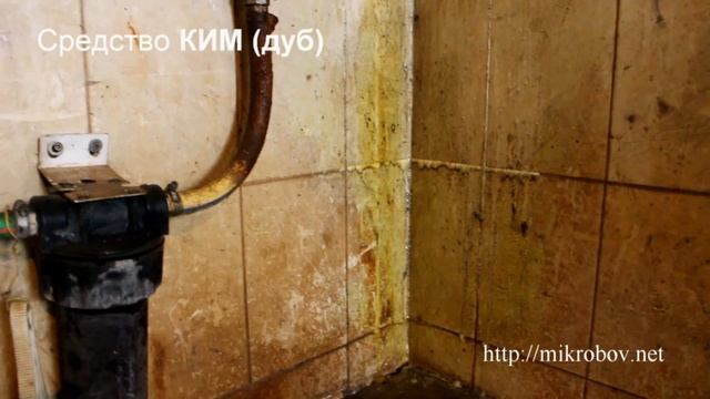 Очистка кафельной плитки от ржавчины