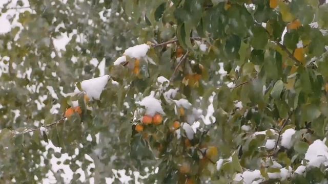 Сура Аль-Анкабут Красивый и расслабляющий голос Абдаллы Хумейда
