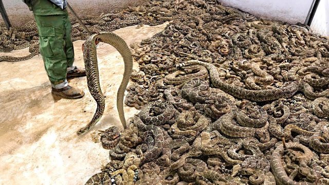 Самые Жуткие Вещи, Найденные в Заброшенных Местах