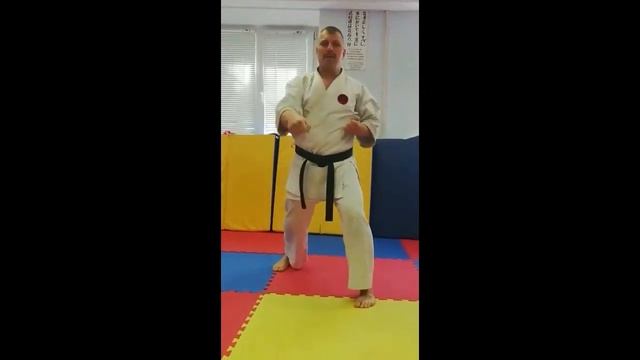 2020.10.05 Онлайн занятия секции Каратэ  Урок 1 Basic movements