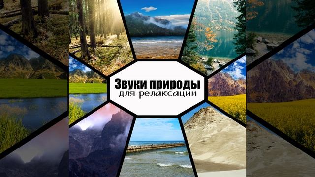 Храм тишины