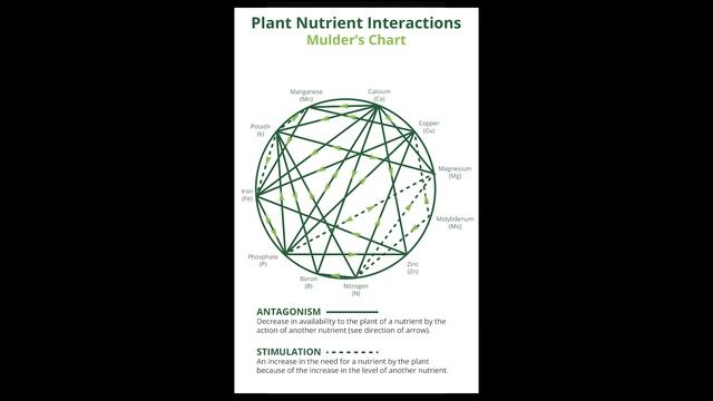 ГЛУПЫЕ вопросы и заблуждения об удобрениях для АКВАРИУМНЫХ РАСТЕНИЙ
