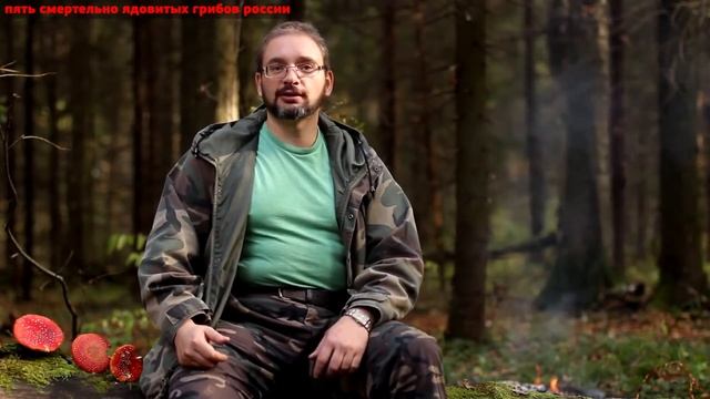 Михаил Вишневский. Пять самых ядовитых грибов России.