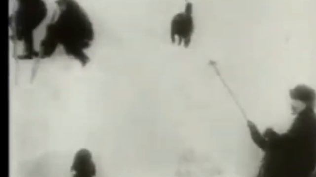 АРКТИКА - ЗАСЕКРЕЧЕННАЯ ЗОНА. От ___“Пули снегопада___“