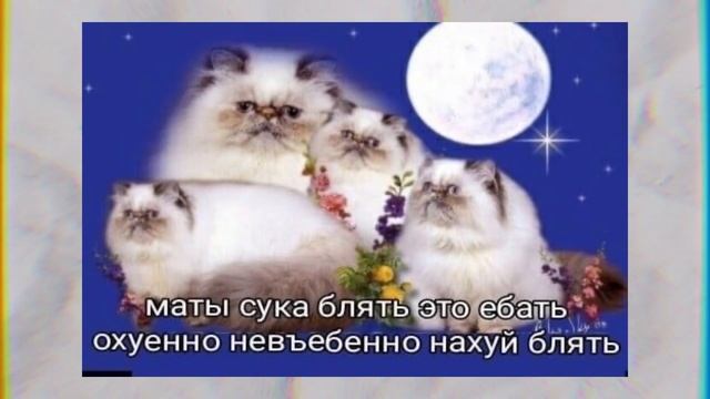 ПОЧЕМУ МАТЫ ЭТО ПЛОХО?