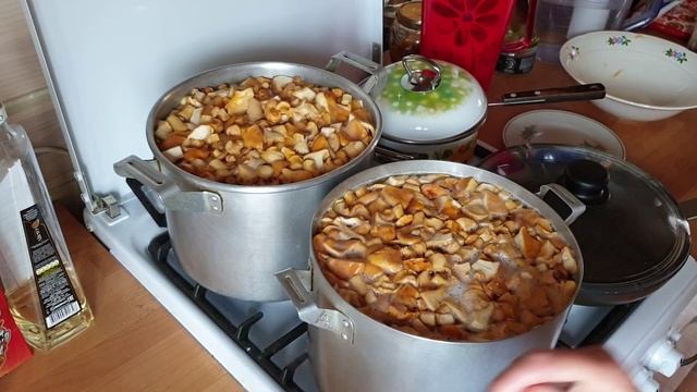 Заготовка лисичек на зиму/Заморозка лисичек на зиму