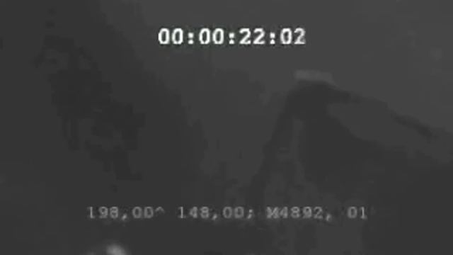 ЗАМЕЧЕНЫ СТРАННЫЕ ПОДВОДНЫЕ СУЩЕСТВА ДЛИННОЙ 30 МЕТРОВ! НИНГЕНЫ: ГУМАНОИДЫ ИЗ АНТАРКТИЧЕСКИХ ВОД