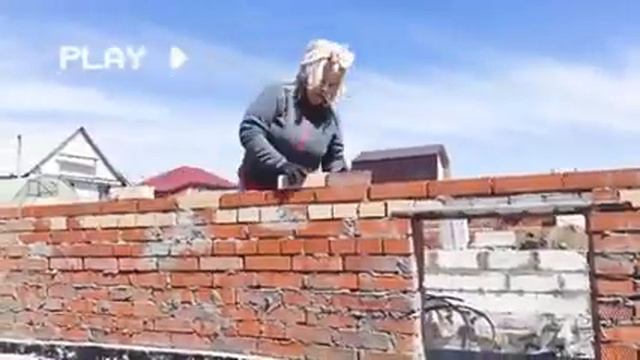 Отдохнувшая роза майская