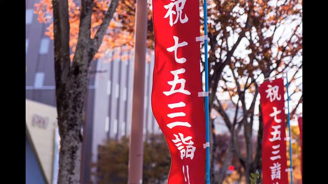 【童謡・唱歌】七つの子(歌入り)