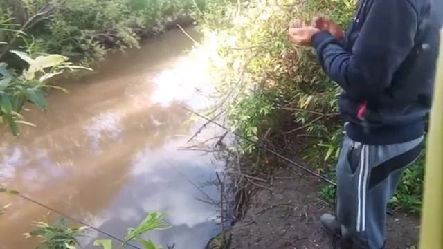 Рыбалка на паплавок ловим карася