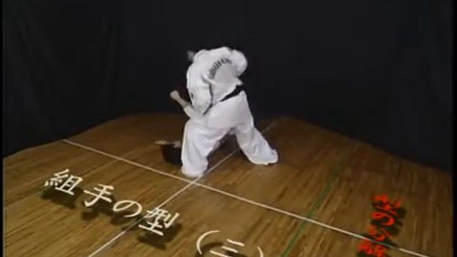 ASHIHARA KARATE SABAKI