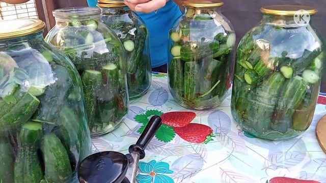 Бабушкин рецепт ХРУСТЯЩИХ ОГУРЧИКОВ . закрутки на зиму.Огурцы в трёх литровых банках.