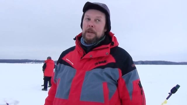 Какие ратлины вибы для зимней рыбалки на судака работают лучше всего?