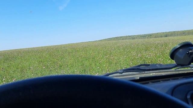 Поиск