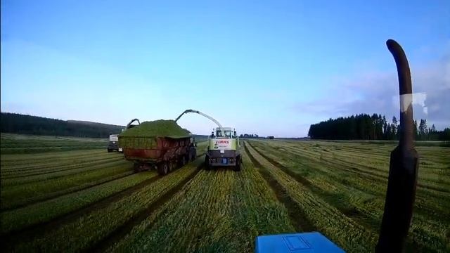 будни тракториста питер уборка зерновых