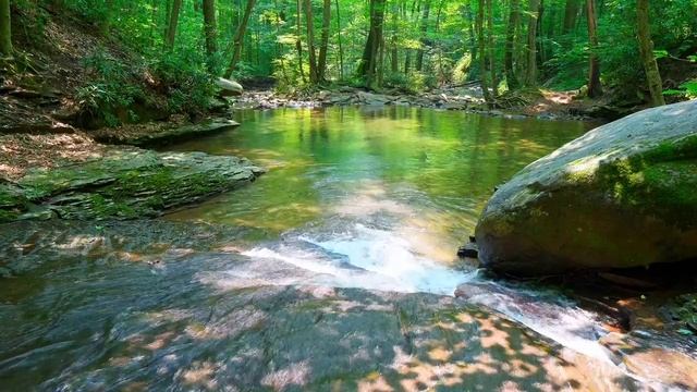 Природа и её красивые места!