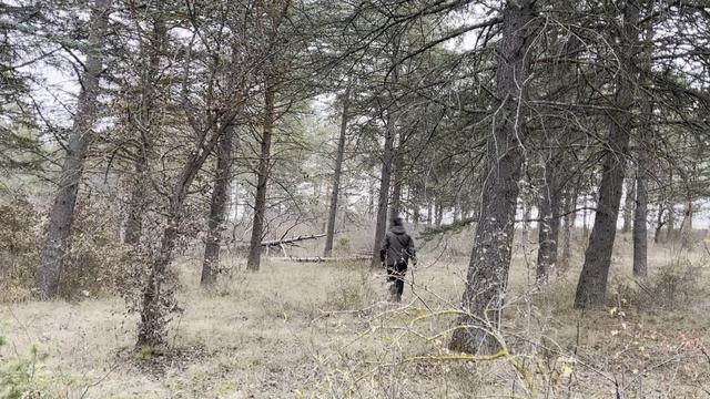 SOLO CAMPİNG İN HEAVY RAIN - TENT REST WITH THE SATISFYING SOUND OF NATURE - ASMR
