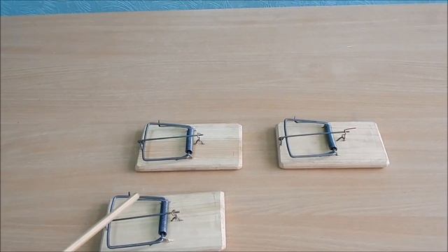 Мышеловка, крысоловка (Видео обзор)