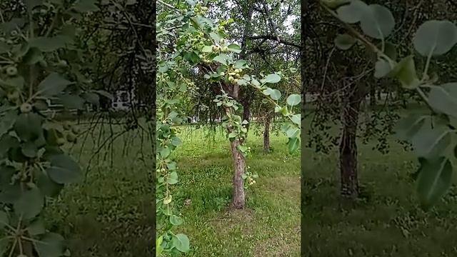 Про эксперимент. Консультации