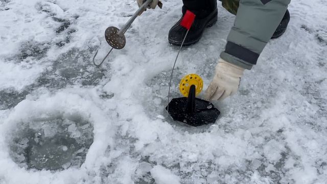 Рыбалка на Жерлицы в глухозимье! Зимняя рыбалка на нижней Волге 2021.