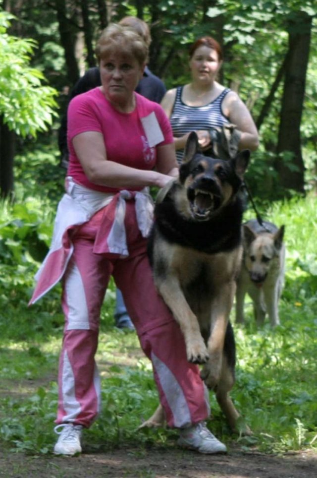 Проба ВН