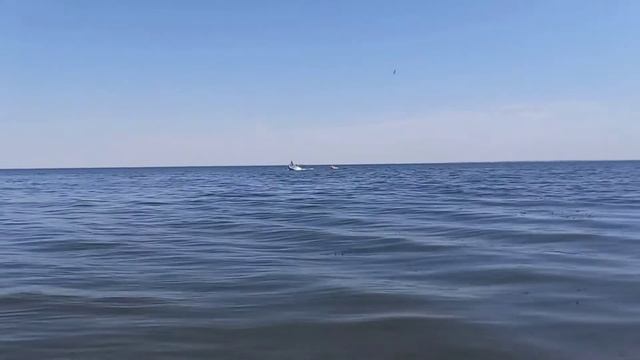 Прогресс 4. Лодочный мотор Ямаха (Yamaha) 40 VEOS. Водная ватрушка. ПОКАТУШКИ.