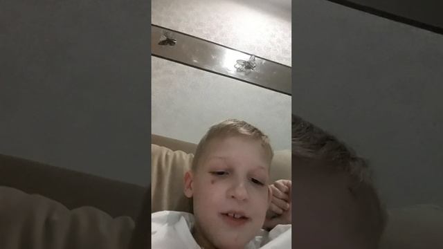 У Лукоморья дуб срубили