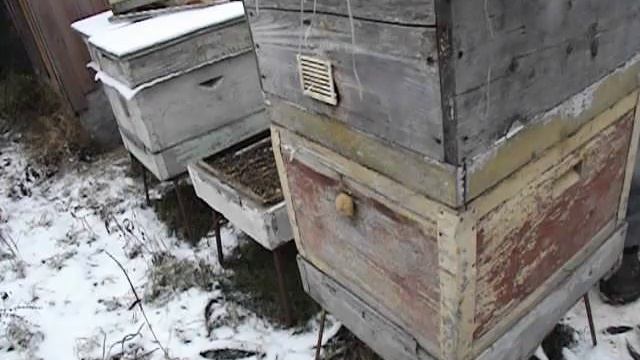 методика однокорпусного улья с магазинами - часть 1 ( подготовка к зимовке на воле )