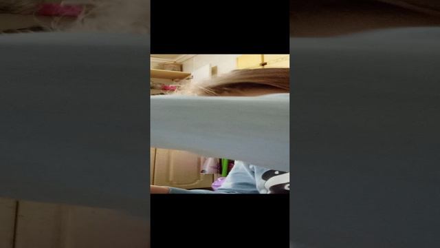 1000007915.mp4