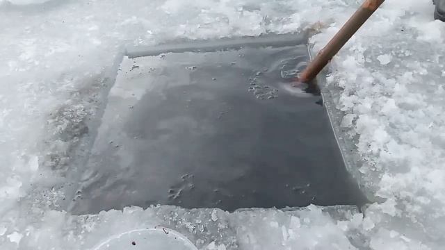 на что лучше и как наловить намыть добывать мотыля зимой.