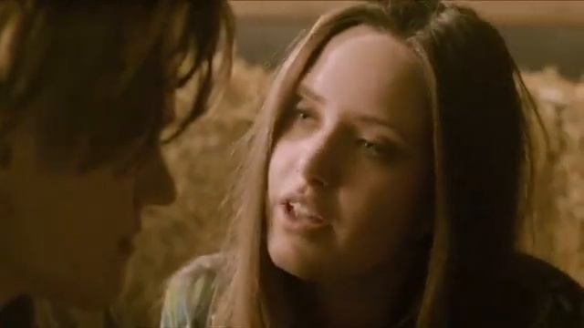 Волки 2014 года