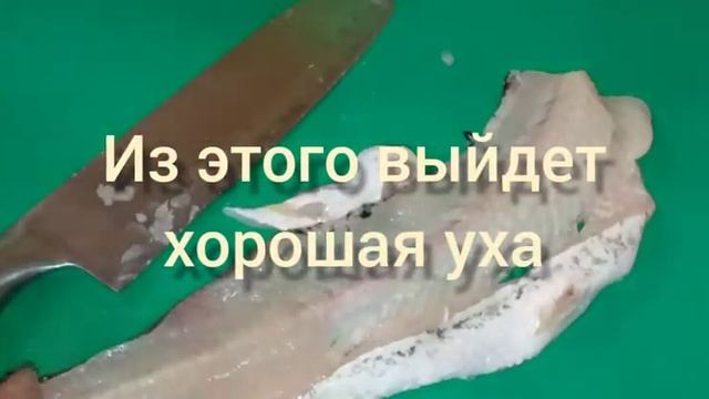 ЩУКА КАК ПОЧИСТИТЬ щуку И СНЯТЬ ФИЛЕ РЫБЫ приготовить КОТЛЕТЫ из щуки❤?ПОСТАВЬ?❤❤