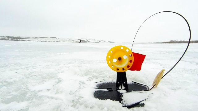 НА РЫБАЛКЕ БЫВАЕТ И ТАКОЕ! ЛОВЛЯ ЩУКИ НА ЖЕРЛИЦЫ | ДИАЛОГИ О РЫБАЛКЕ | Рыбалка 2024