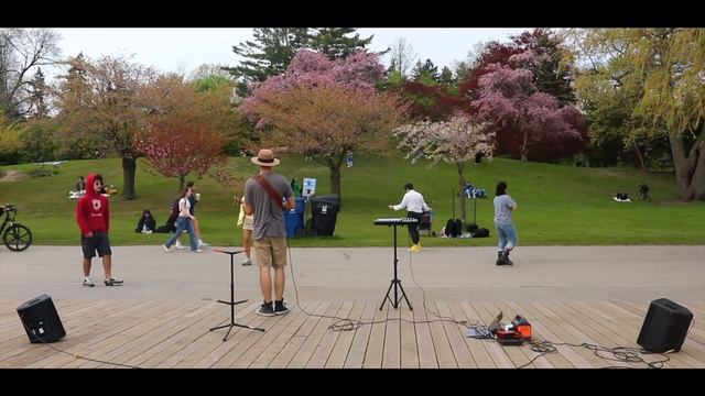 Breath of Life - Street Performance - Sina Bathaie