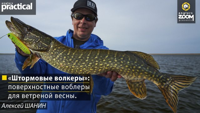 Рыбалка «Штормовые волкеры»: поверхностные воблеры для ветреной весны. А. Шанин. Anglers Practical