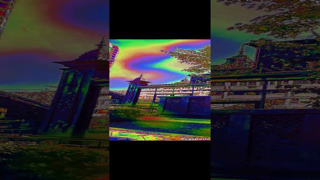 1000072694.mp4