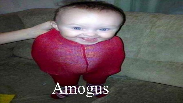 амогус