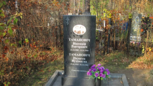 101. У всех частных форм Вселенной существует предел борьбы за существования.