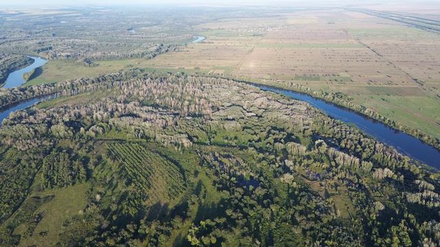 DJI_0031