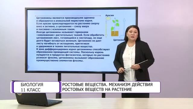 Биология. 11 класс. Ростовые вещества. Механизм действия ростовых веществ на растение /30.11.2020/