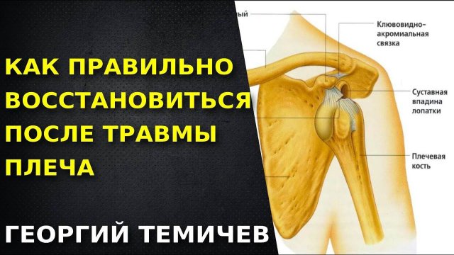 Боль в плече. Как тренироваться при травмах плеча. Как восстановиться после травмы плеча.