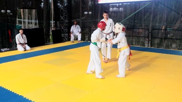 Кёкусин каратэ | Кумитэ и правила судейства KWU | Практика [Школа каратэ кёкусин Евгения Косачука]