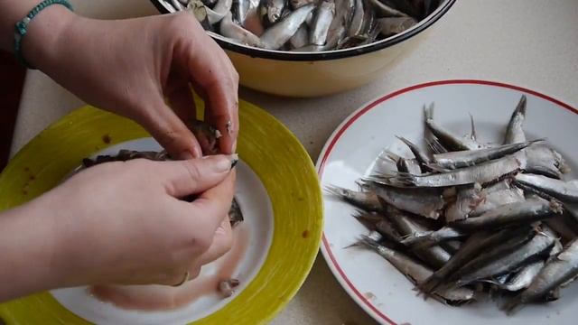 Как засолить КИЛЬКУ, ТЮЛЬКУ !!! Килька пряного посола !!!