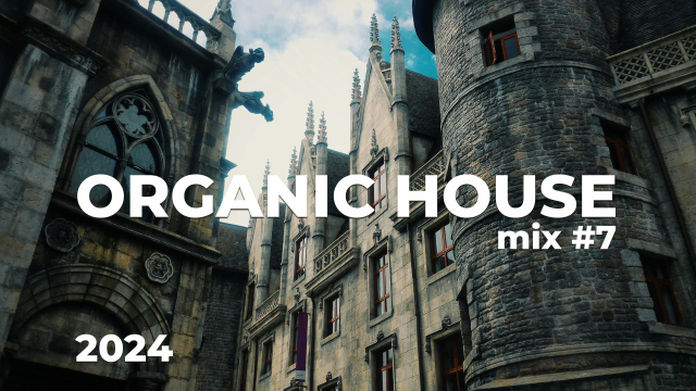 Organic House Mix #7 Idols