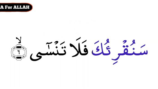 Quran Lesson # 169/Surrah tul Aalaa ayaah 5-6