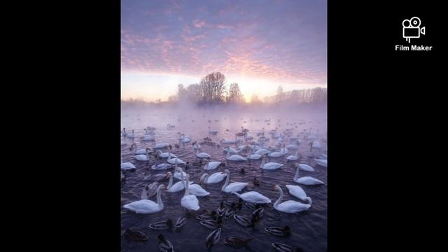Российский деревенский север (Russian village north)