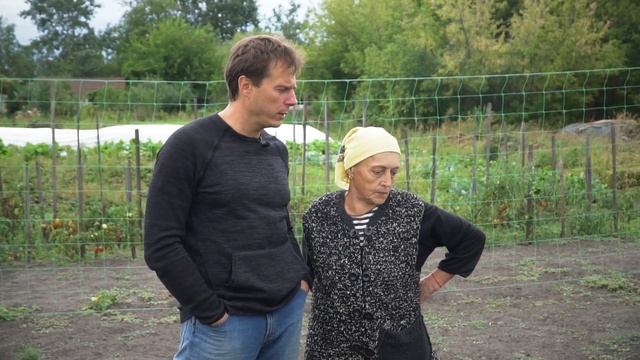 ТОП 15. Клубника. Лучшие сорта. Выращивание клубники