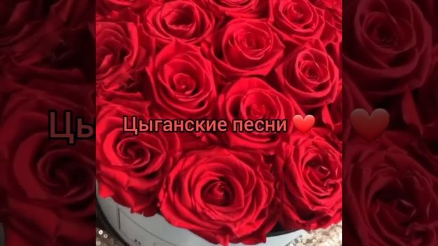 Цыганская полька 2022 год