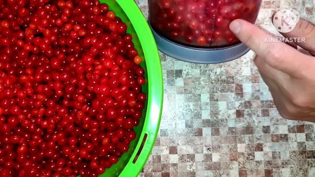 ЗАГОТОВКА КАЛИНЫ НА ЗИМУ. ЖИВОЕ ВАРЕНЬЕ ИЗ КАЛИНЫ.